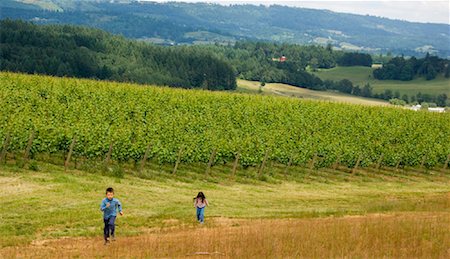 rural american and family - Children Playing by Vinyards, Oregon, USA Stock Photo - Rights-Managed, Code: 700-01111761