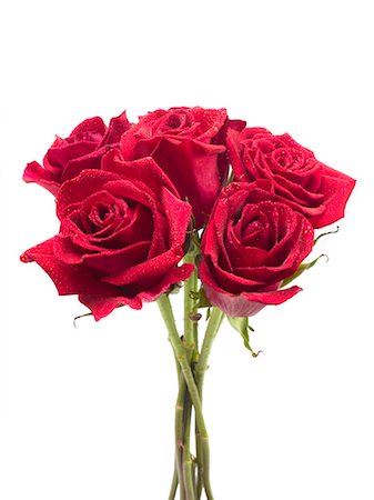 red centre - Bouquet de Roses rouges Photographie de stock - Rights-Managed, Code: 700-01111908
