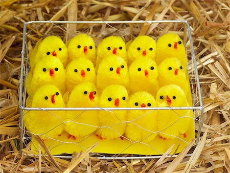 pollito - Toy Chicks in Cage Foto de stock - Con derechos protegidos, Código: 700-01164731