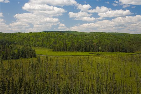 Sunday Creek, Parc Provincial Algonquin, Ontario, Canada Photographie de stock - Rights-Managed, Code: 700-01163244