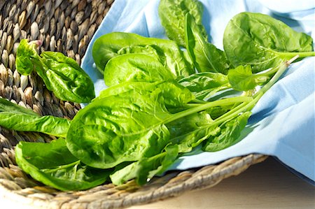 simsearch:6108-05865420,k - Spinach Stock Photo - Rights-Managed, Code: 700-01163811