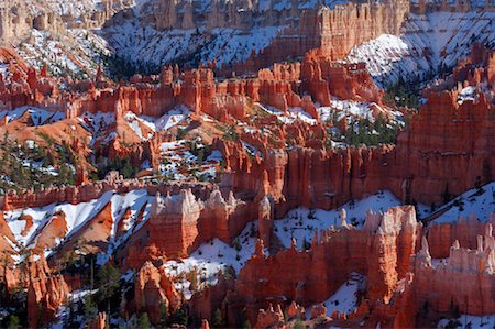 Hoodoos, Bryce Canyon National Park, Utah, USA Stock Photo - Rights-Managed, Code: 700-01184349