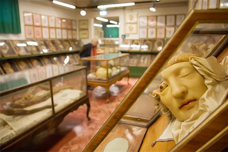 display case in a museum - La Specola Museum of Natural History, Florence, Tuscany, Italy Stock Photo - Rights-Managed, Code: 700-01185524