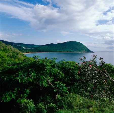 Overview of Coastal Region, Guadeloupe, Antilles Foto de stock - Con derechos protegidos, Código: 700-01183624