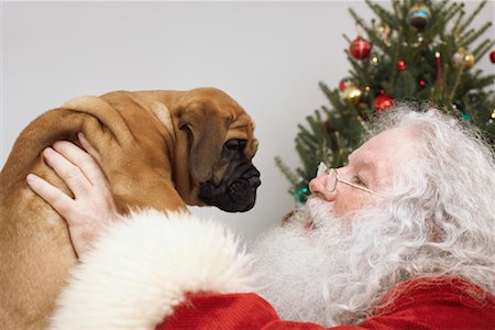 simsearch:700-00151665,k - Père Noël avec Puppy Photographie de stock - Rights-Managed, Code: 700-01195279