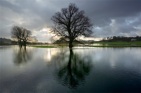 Flooding of Brathay River, Cumbria, England Foto de stock - Con derechos protegidos, Código: 700-01196205