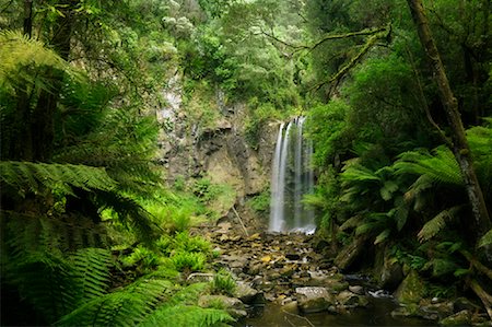 Hopetoun Falls, Great Otway National Park, Victoria, Australia Stock Photo - Rights-Managed, Code: 700-01200135