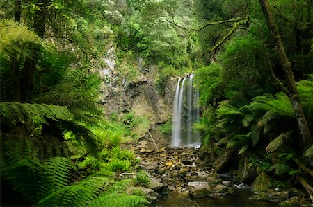 simsearch:700-02130456,k - Hopetoun Falls, Great Otway National Park, Victoria, Australia Foto de stock - Con derechos protegidos, Código: 700-01200135