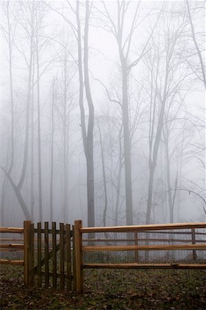 Fence and Winter Trees Stock Photo - Rights-Managed, Code: 700-01223723