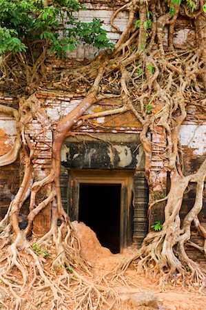 Temple de Prasat Pram, Koh Ker, Cambodge Photographie de stock - Rights-Managed, Code: 700-01248538