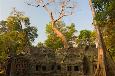 simsearch:649-08633011,k - Ta Prohm Temple, Siem Reap, Cambodia Stock Photo - Rights-Managed, Code: 700-01248566