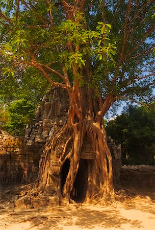 Ta Som Temple, Siem Reap, Cambodge Photographie de stock - Rights-Managed, Code: 700-01248568