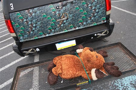 funny truck transport - Stuffed Moose on Back of Truck Stock Photo - Rights-Managed, Code: 700-01248893