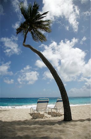 Palm Tree and Chairs on Beach Stock Photo - Rights-Managed, Code: 700-01249101