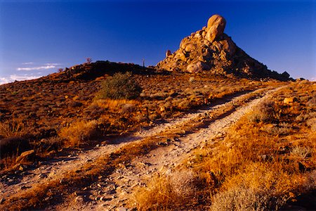 province du cap - Die Toon, Parc National du Richtersveld, Northern Cape, en Afrique du Sud Photographie de stock - Rights-Managed, Code: 700-01295682