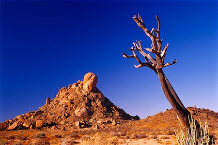 freeman patterson - Rock Formation and Bare Tree, Die Toon, Richtersveld National Park, South Africa Stock Photo - Rights-Managed, Code: 700-01295683