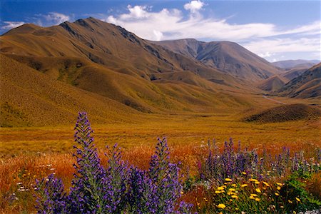 Lindis Pass, New Zealnd Foto de stock - Con derechos protegidos, Código: 700-01295693