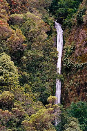 freeman patterson - Waterfall, Arthur's Pass, New Zealand Foto de stock - Con derechos protegidos, Código: 700-01295703