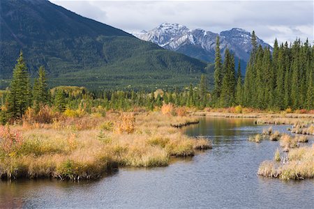 Vermillion Lakes, Banff National Park, Alberta, Canada Stock Photo - Rights-Managed, Code: 700-01345167