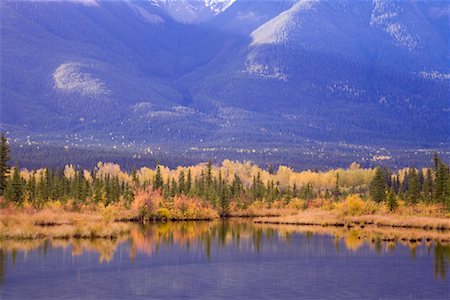Vermillion Lakes, Banff National Park, Alberta, Canada Foto de stock - Con derechos protegidos, Código: 700-01345171