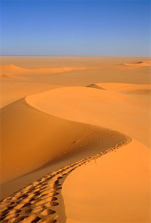 desert trail - Dunes in Desert, Libya, Africa Stock Photo - Rights-Managed, Code: 700-01378456