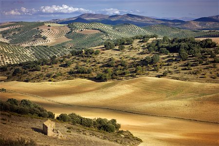 Farmland, Spain Stock Photo - Rights-Managed, Code: 700-01378772