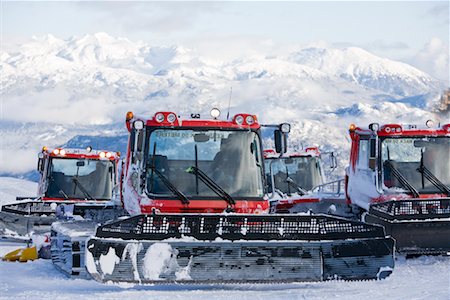 Chat de neige sur la montagne de Whistler-Blackcomb, en Colombie-Britannique, Canada Photographie de stock - Rights-Managed, Code: 700-01378827