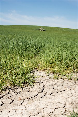 fango arido - Tractor in Field Fotografie stock - Rights-Managed, Codice: 700-01429108