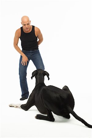 Homme avec chien Photographie de stock - Rights-Managed, Code: 700-01429202