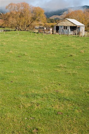 Terres agricoles, Nelson, Nouvelle-Zélande Photographie de stock - Rights-Managed, Code: 700-01464033