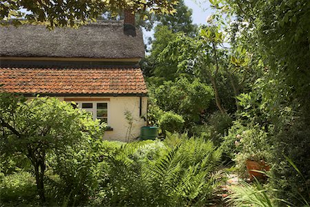 devon county - Thatched Cottage, Devon, England, United Kingdom Stock Photo - Rights-Managed, Code: 700-01538831