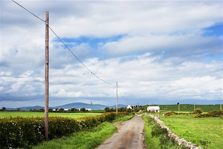 simsearch:700-02754709,k - Country Road and Fields, Dumfries and Galloway, Scotland, United Kingdom Fotografie stock - Rights-Managed, Codice: 700-01538898