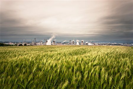 Usine pétrochimique de Grangemouth en arrière-plan et champ de blé en avant-plan, West Lothian, Ecosse, Royaume-Uni Photographie de stock - Rights-Managed, Code: 700-01538907