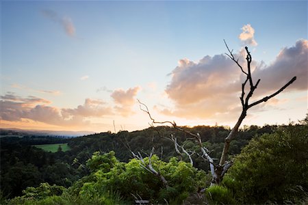 simsearch:700-01538956,k - Sunset Over Scottish Borders, Scotland Stock Photo - Rights-Managed, Code: 700-01538960