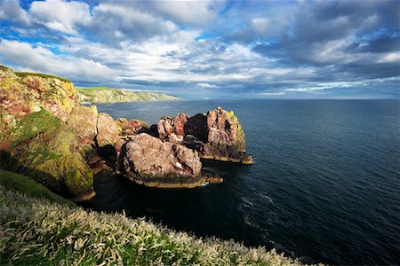 rock formation in scotland - St Abbs Head, Scottish Borders, Scotland Stock Photo - Rights-Managed, Code: 700-01538962