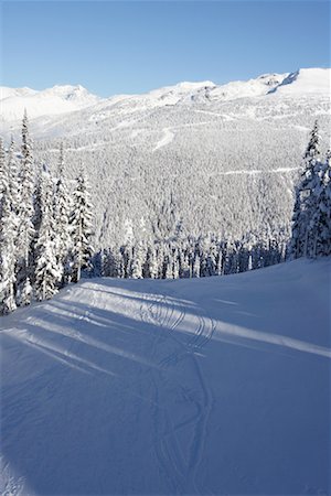 Whistler Mountain, British Columbia, Canada Foto de stock - Con derechos protegidos, Código: 700-01575414