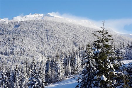 Whistler Mountain, British Columbia, Canada Foto de stock - Con derechos protegidos, Código: 700-01575412