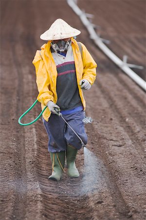 farm harvesting equipment - Spraying Pesticides on Farm Stock Photo - Rights-Managed, Code: 700-01606927