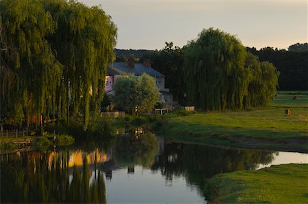 Weeping Willows by House at Sunset, Sudbury, Suffolk, England Stock Photo - Rights-Managed, Code: 700-01615200