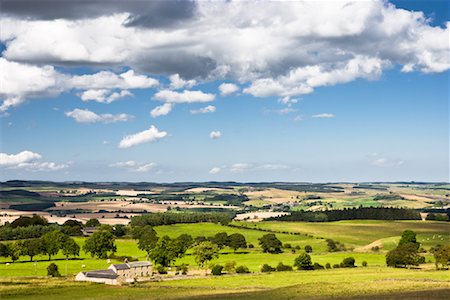 Farmland Near Hadrian's Wall, Northumberland, England Foto de stock - Con derechos protegidos, Código: 700-01617031