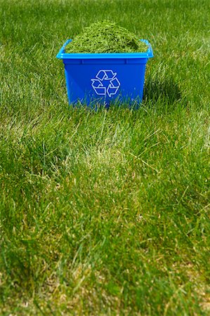 Grass Clippings in Recycling Box Foto de stock - Con derechos protegidos, Código: 700-01633312