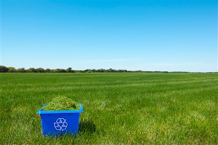 Herbe coupée dans la boîte de recyclage Photographie de stock - Rights-Managed, Code: 700-01633313