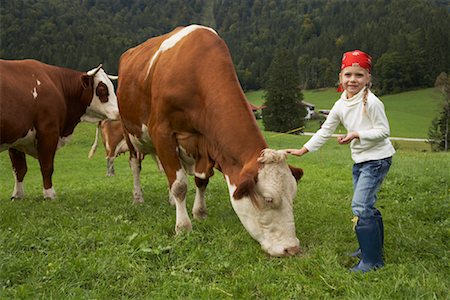 side view cows - Girl Petting a Cow Stock Photo - Rights-Managed, Code: 700-01645028