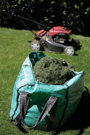 Grass Clippings in Bag Foto de stock - Con derechos protegidos, Código: 700-01645251