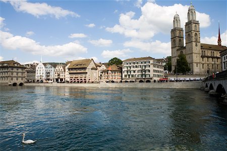 swan river - River Limmat, Zurich, Switzerland Foto de stock - Direito Controlado, Número: 700-01694423