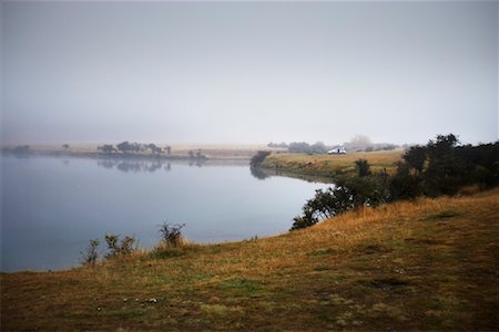 Overview of Lake Shoreline, New Zealand Foto de stock - Direito Controlado, Número: 700-01717093