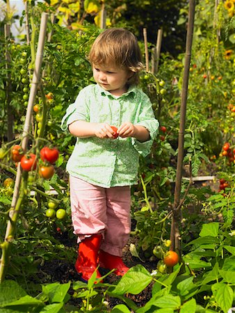 Little Girl in Vegetable Garden Foto de stock - Con derechos protegidos, Código: 700-01718023
