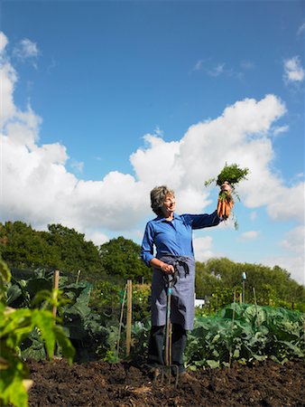 Woman Holding Bunch of Carrots in Vegetable Garden Foto de stock - Con derechos protegidos, Código: 700-01718031