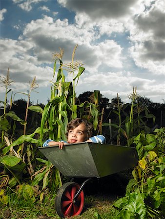 Boy Daydreaming in Wheelbarrow Foto de stock - Con derechos protegidos, Código: 700-01718056