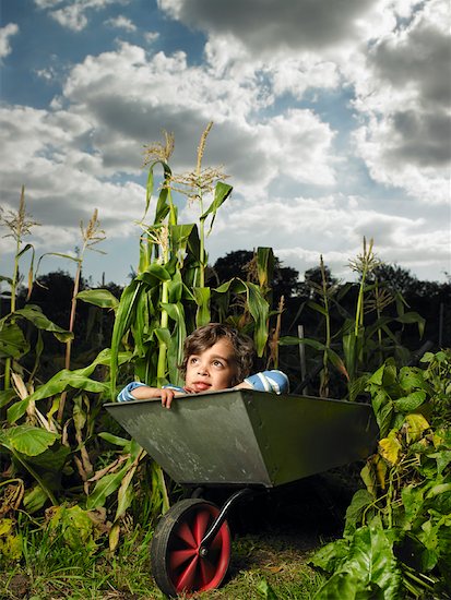 Boy Daydreaming in Wheelbarrow Stock Photo - Premium Rights-Managed, Artist: Masterfile, Image code: 700-01718056